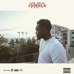 jungle-remix-260-260-1478639160